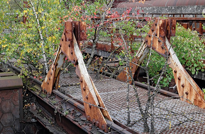 Birken wachsen durch ein verrostetes Metallgitter