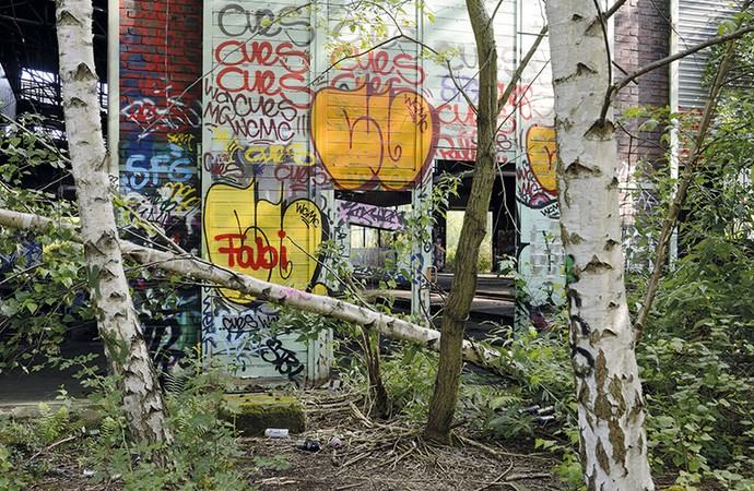 Birken stehen oder liegen vor einer Wand mit verschiedenen Graffitizeichnungen.