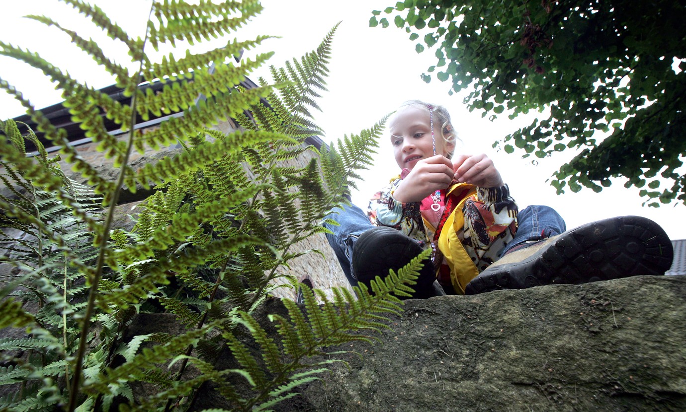 LWL Startseite LWLMuseum Zeche Nachtigall