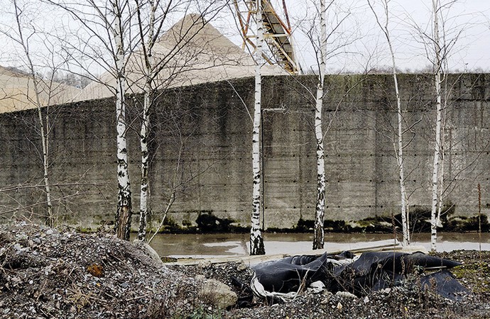 Birken vor einer Betonmauer hinter kleinen Schutthügeln