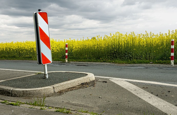 Straße führt an einem Rapsfeld vorbei