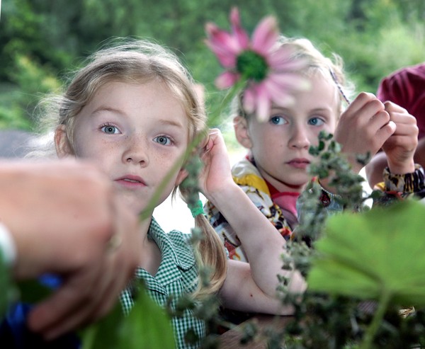 Kinder schauen auf eine Blume, die hochgehalten wird.